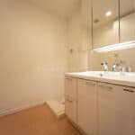 洗面所、脱衣所　ロイヤルパークスタワー南千住1SLDK W60-B1タイプの間取りの室内写真