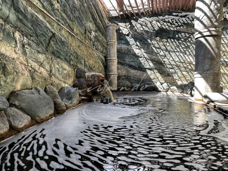 ロイヤルパークスタワー南千住の天然温泉の露天風呂　黒湯